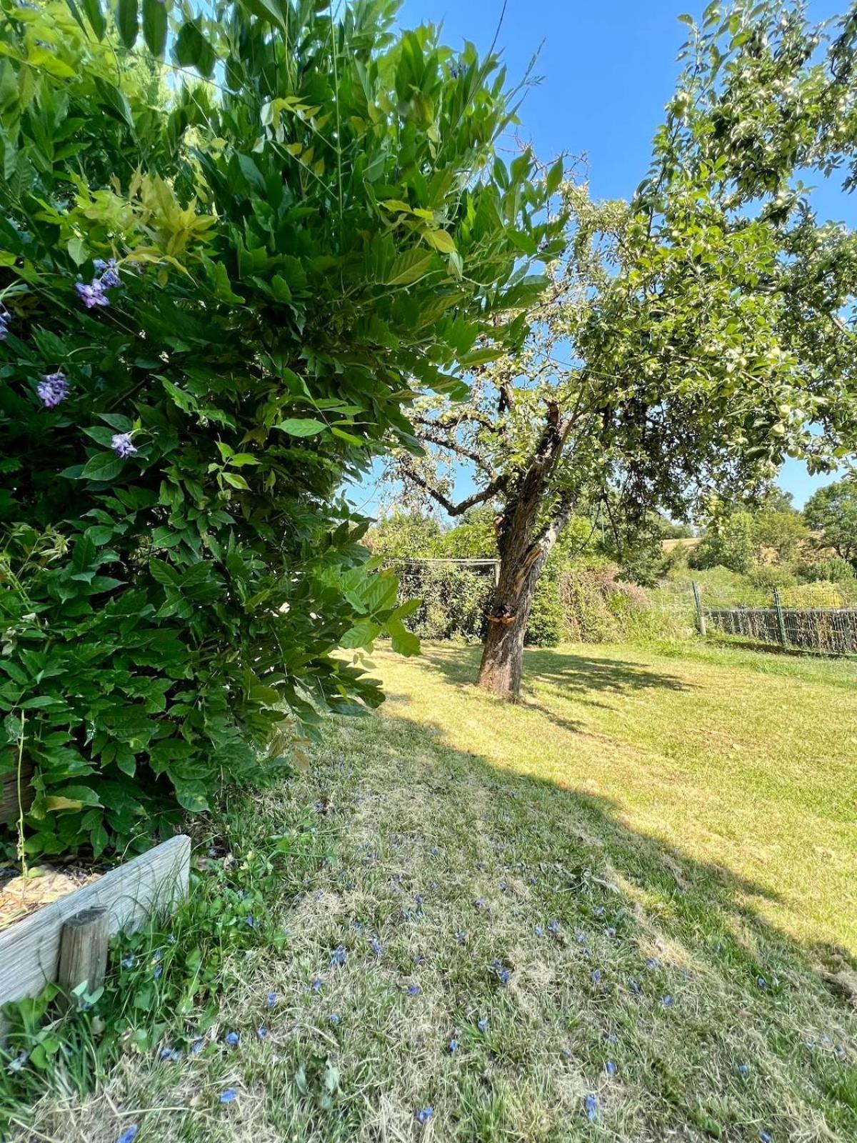 Villa La Baronnie - 11 Pers - Proche Brive -Jardin Ussac Exterior photo