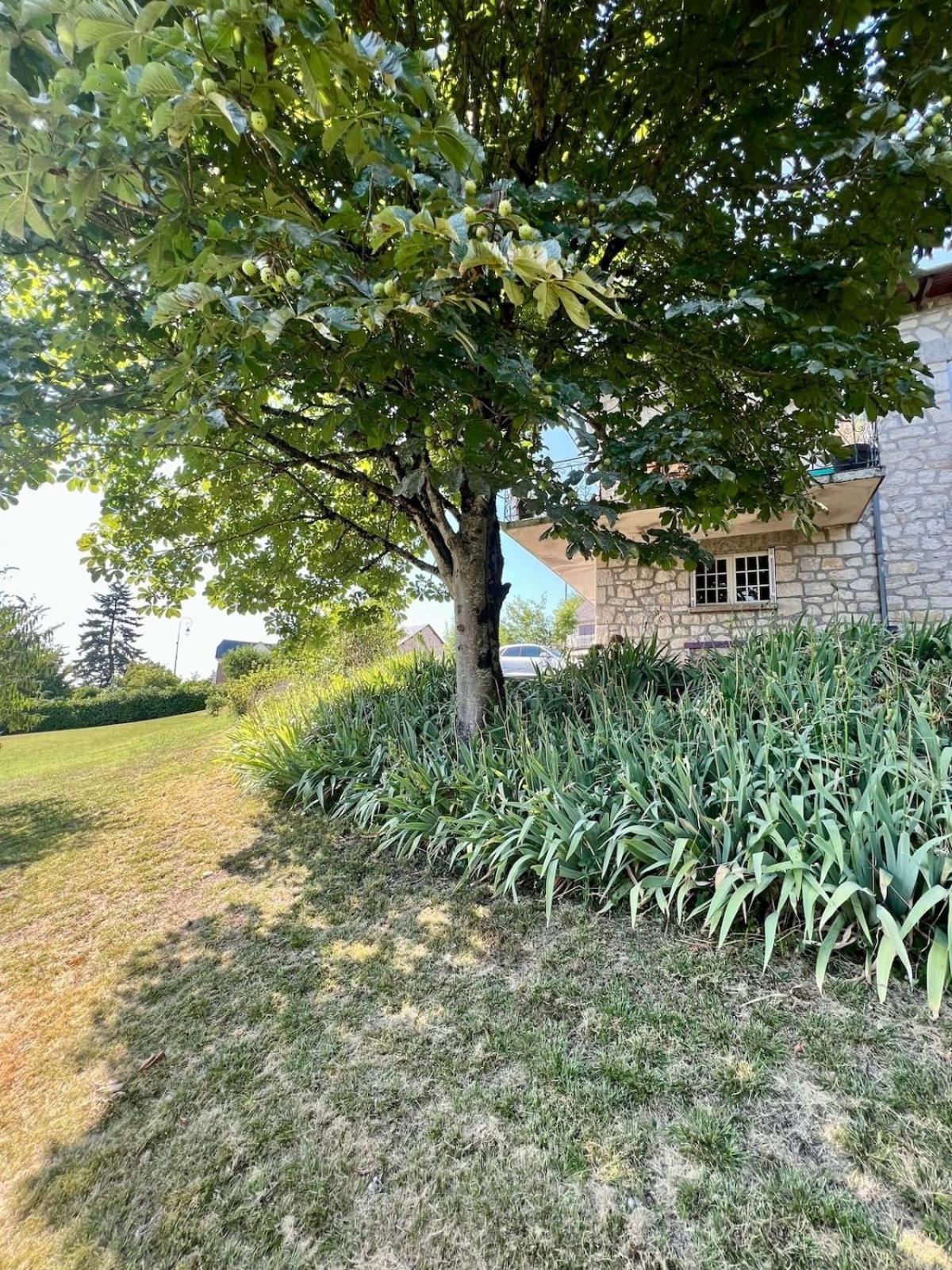 Villa La Baronnie - 11 Pers - Proche Brive -Jardin Ussac Exterior photo